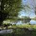 The Old River House, Parteen