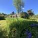 The Old River House, Parteen